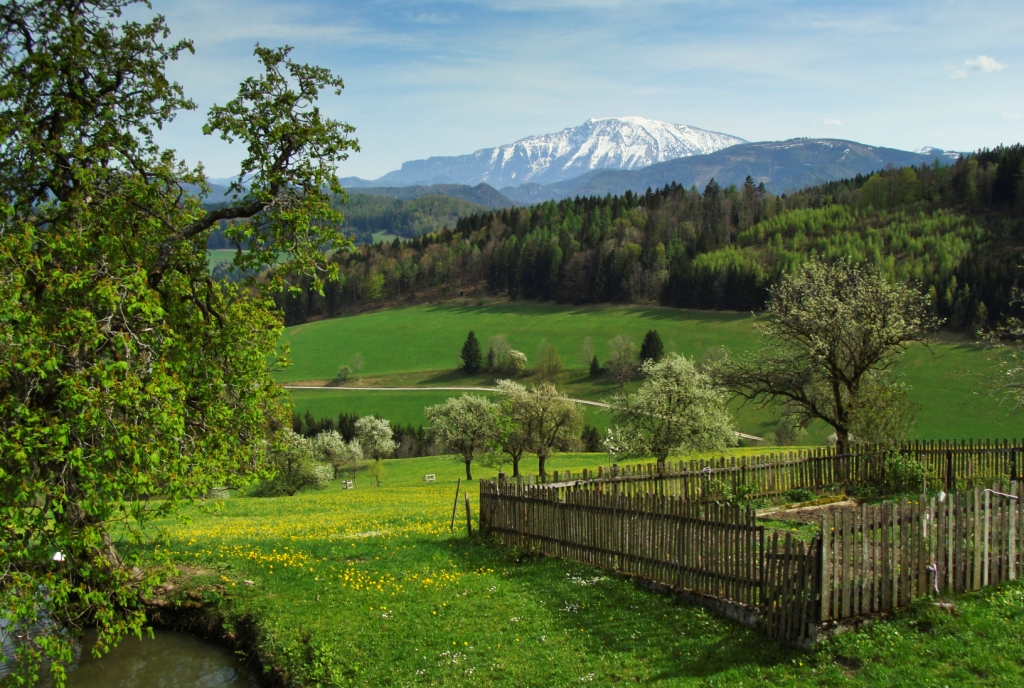 Ausblick vom Bauerngarten