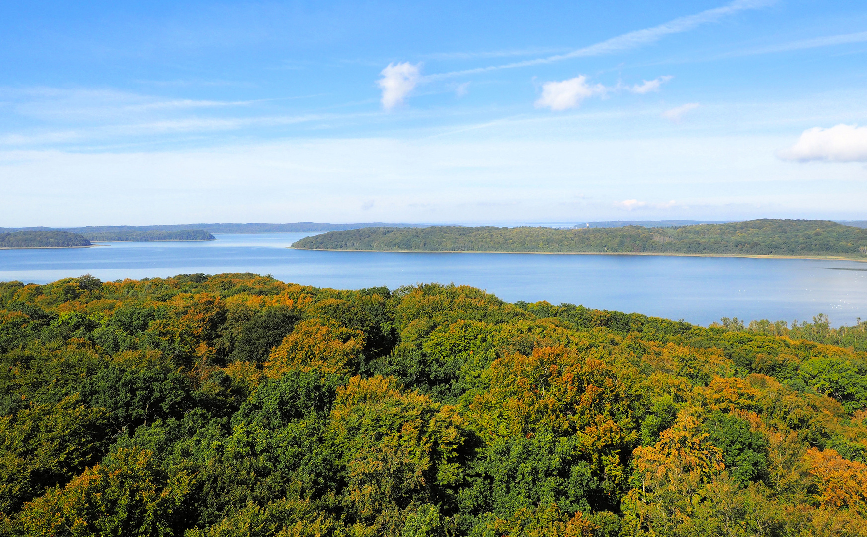 Ausblick vom Baumwipfel Pfad Rügen ...