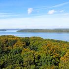 Ausblick vom Baumwipfel Pfad Rügen ...