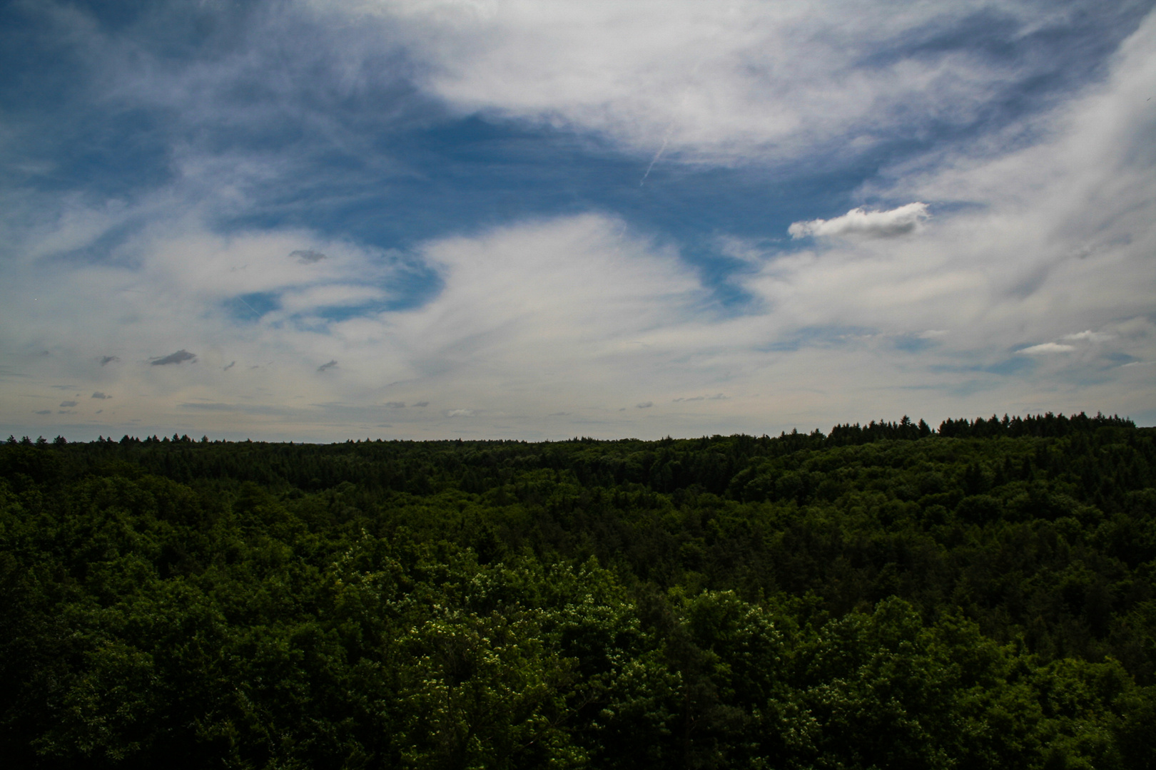 Ausblick-vom-Buchberg-1