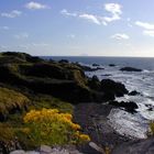 Ausblick vom Dunure Castle auf die Ailsa Craig (am Horizont)