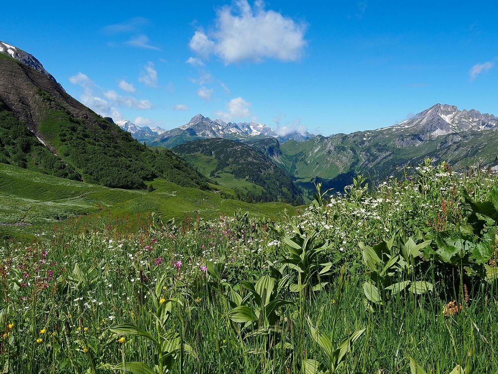 Ausblick vom Eselsweg