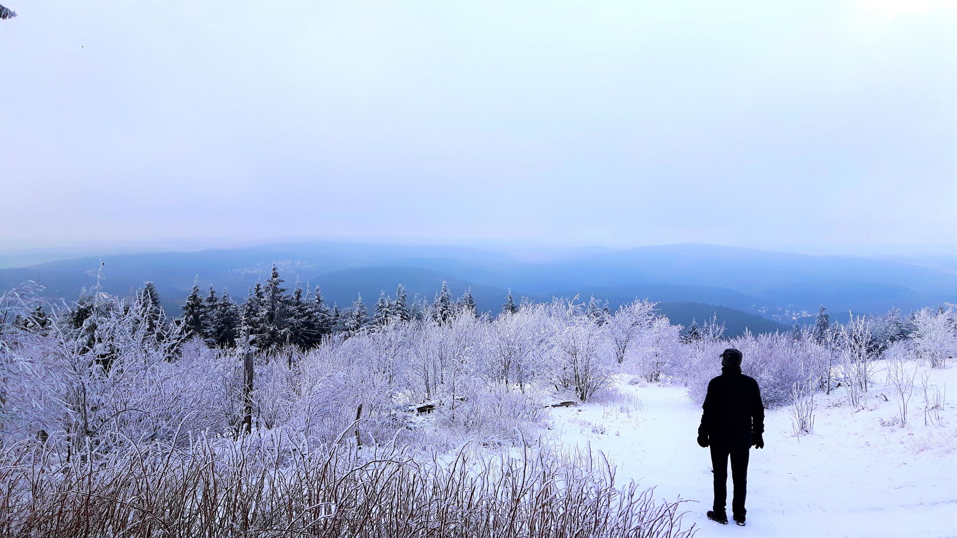 Ausblick vom Feldberg