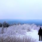 Ausblick vom Feldberg