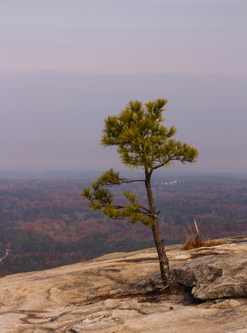 Ausblick vom Felsen