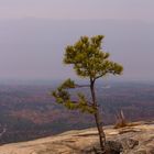 Ausblick vom Felsen