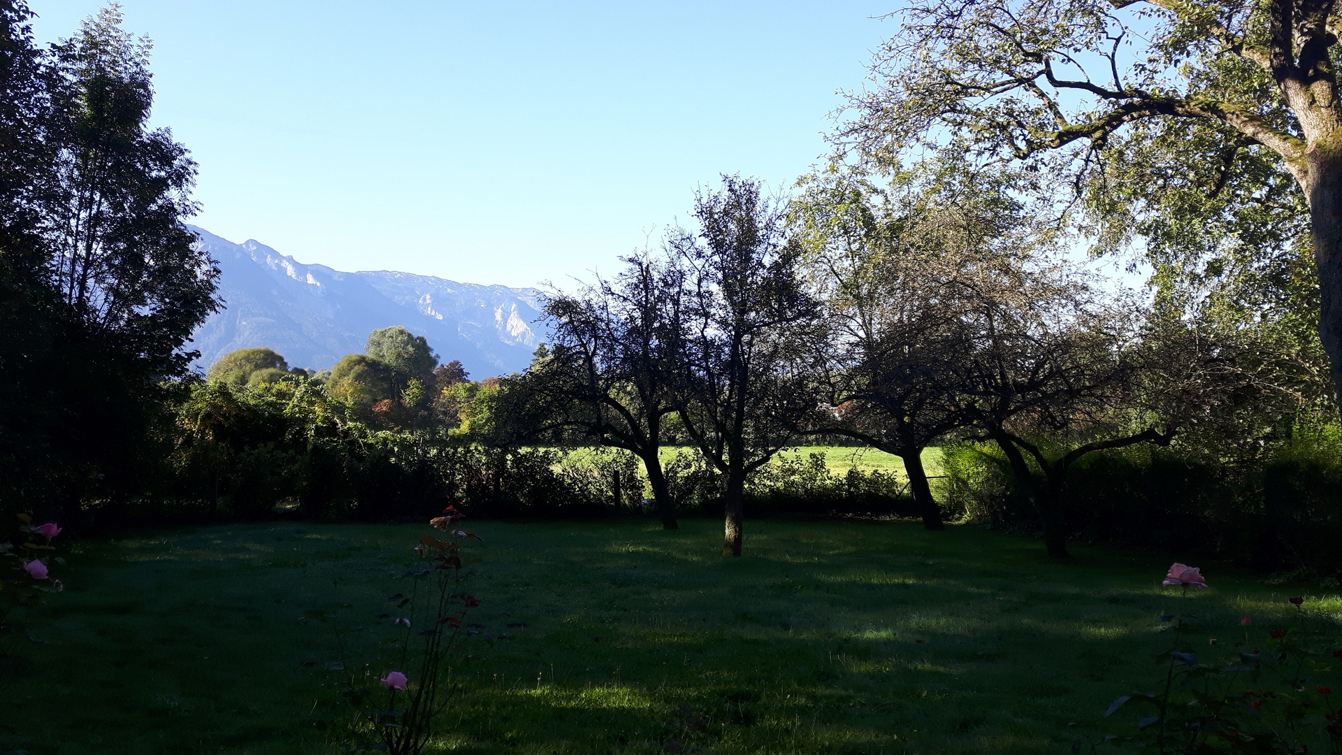 Ausblick vom Garten zum Untersberg