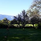 Ausblick vom Garten zum Untersberg