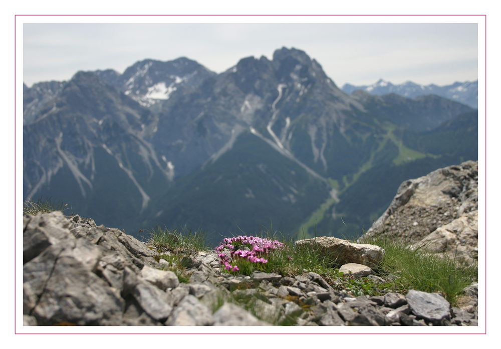 Ausblick vom Grubigstein