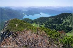 Ausblick vom Herzogstand auf den Walchensee