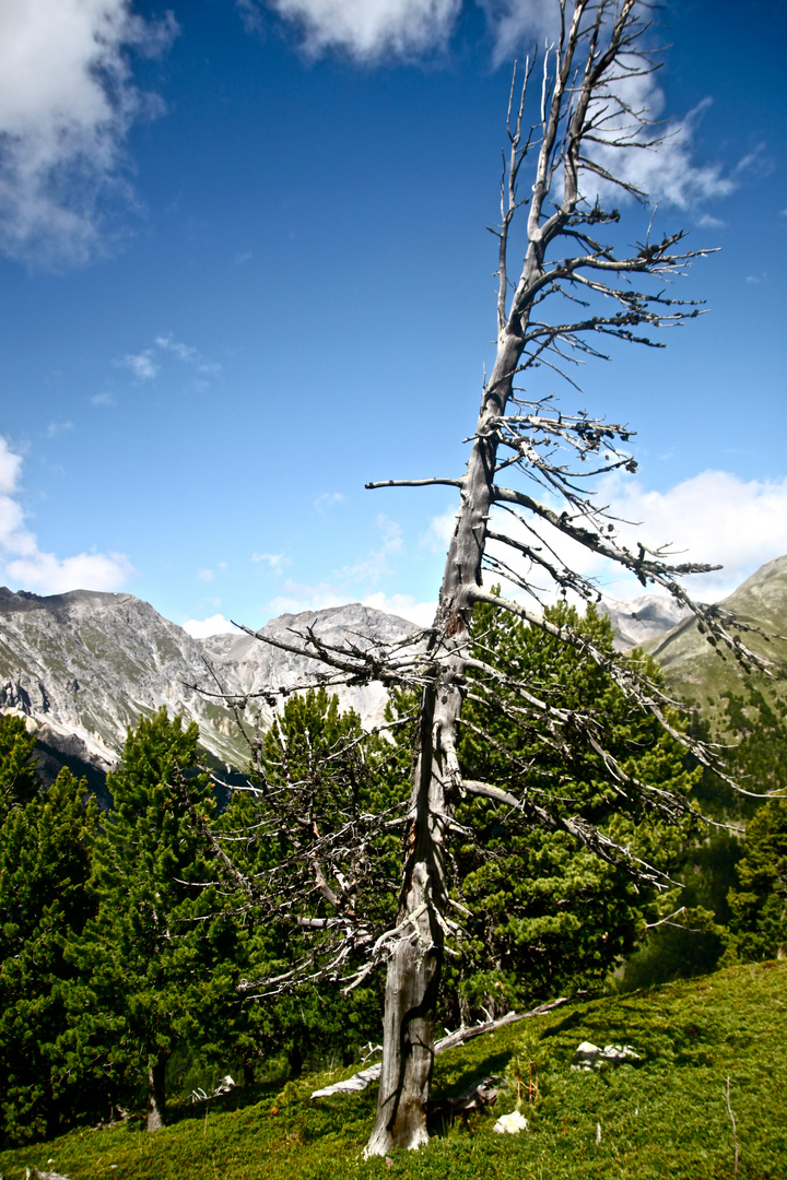 Ausblick vom Ils Mürs