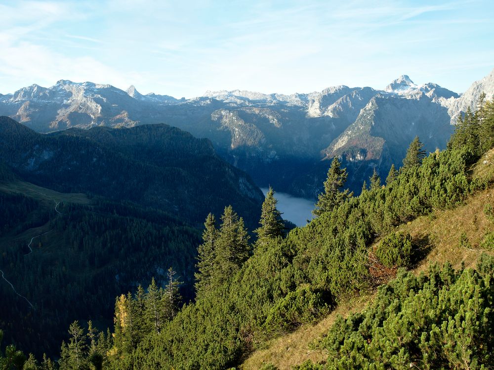 Ausblick vom Jenner