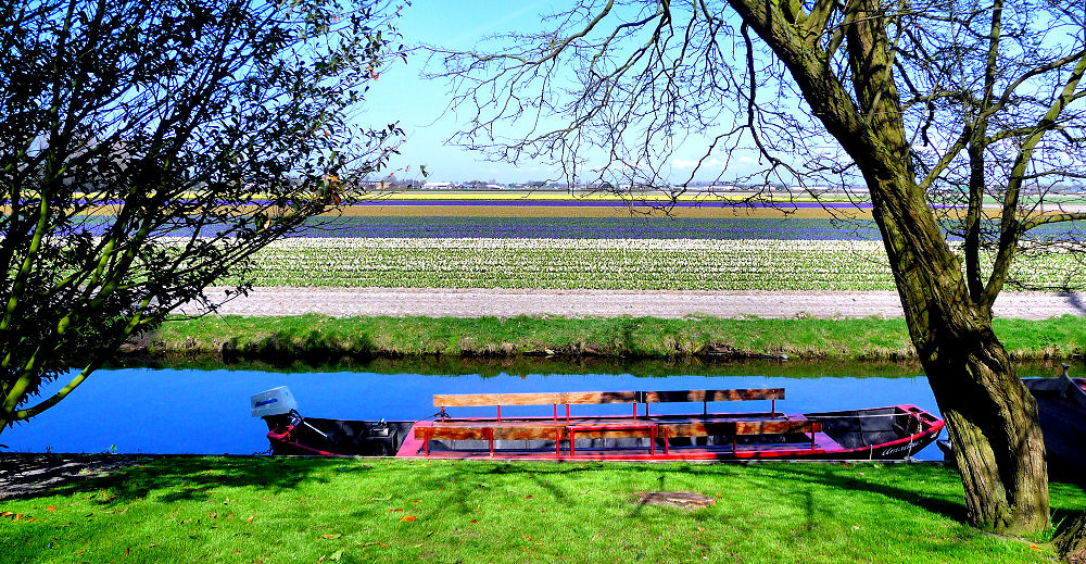 Ausblick vom Keukenhof