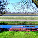 Ausblick vom Keukenhof