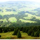 Ausblick vom Kronberg nach Norden