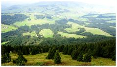 Ausblick vom Kronberg nach Norden