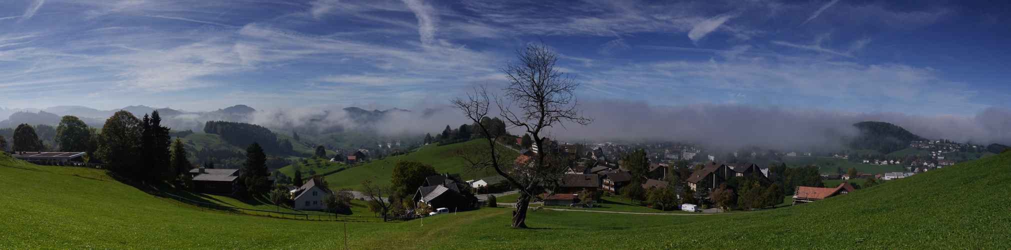 Ausblick vom Lutzenland