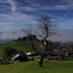 Ausblick vom Lutzenland