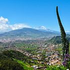 Ausblick vom Mirador Cruz del Carmen - Teneriffa