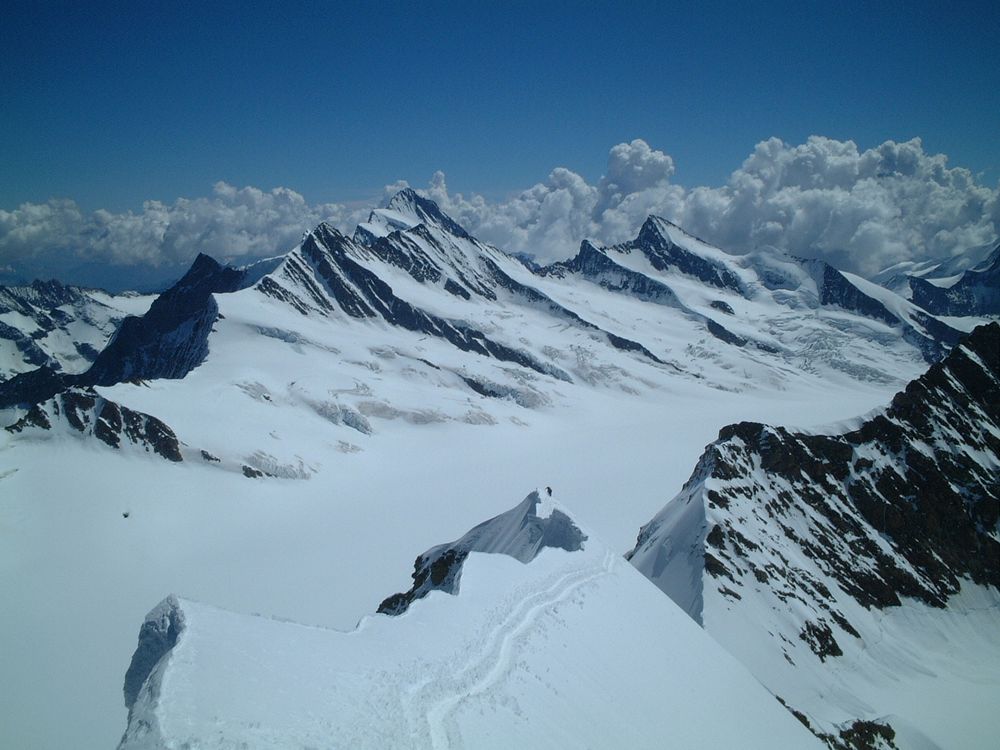 Ausblick vom Mönch. Berner Oberland CH