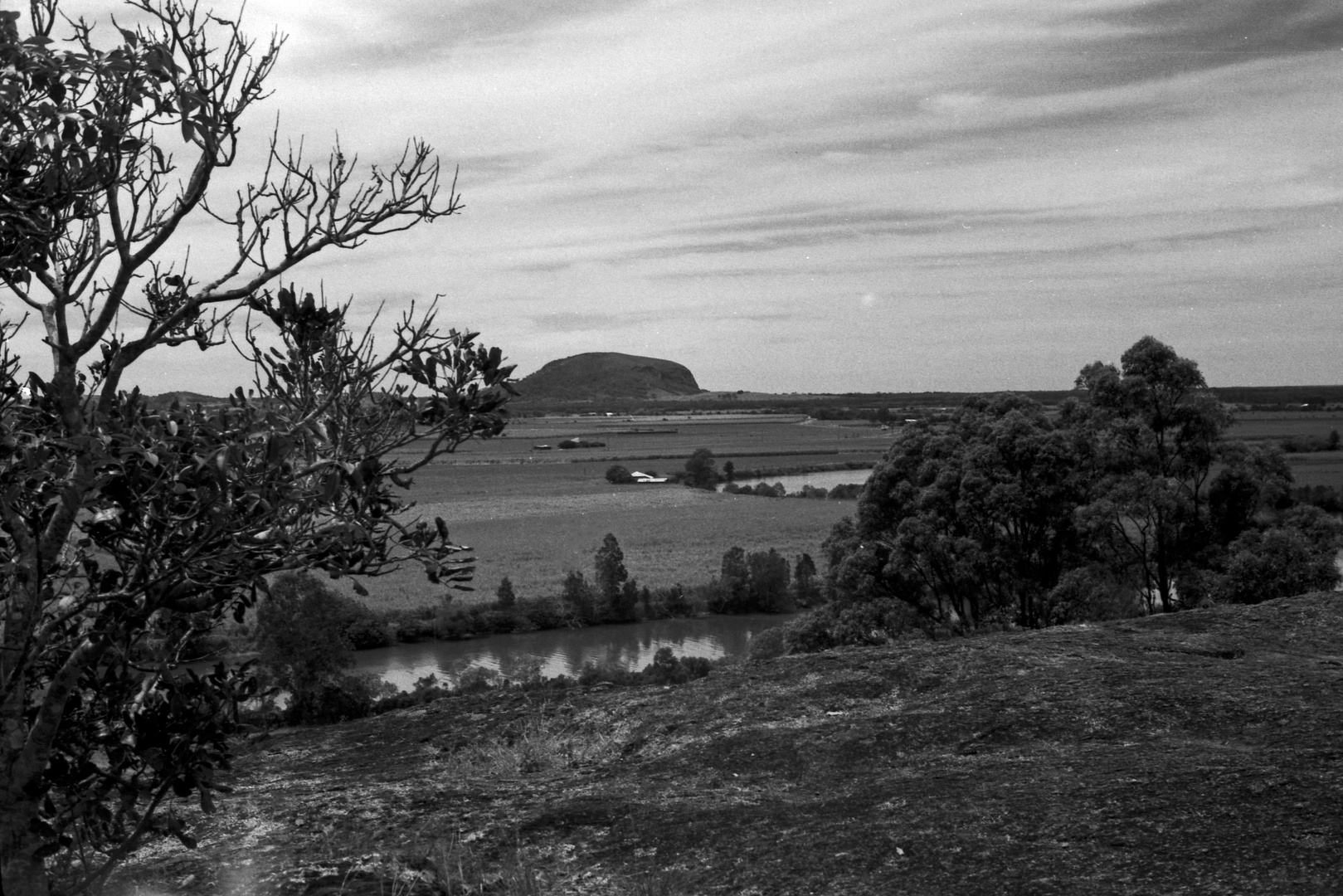 Ausblick vom Mount Tinbeerwah Lookout