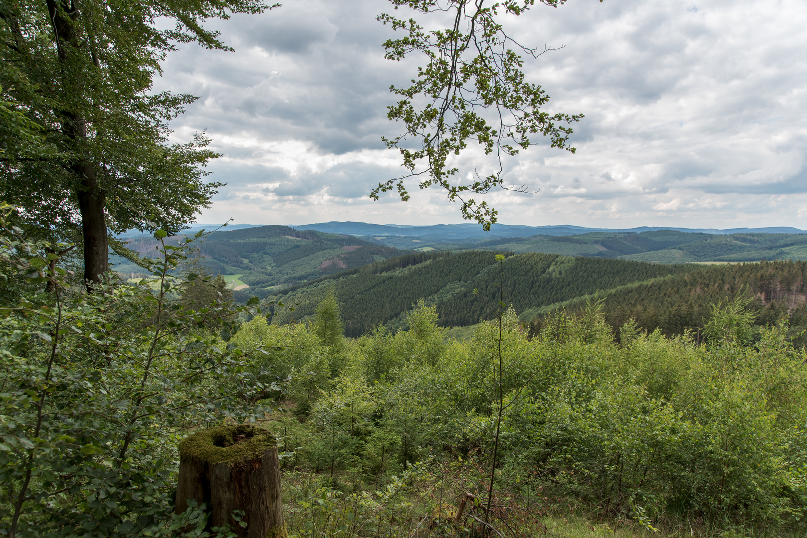 Ausblick vom Netphener Keltenweg