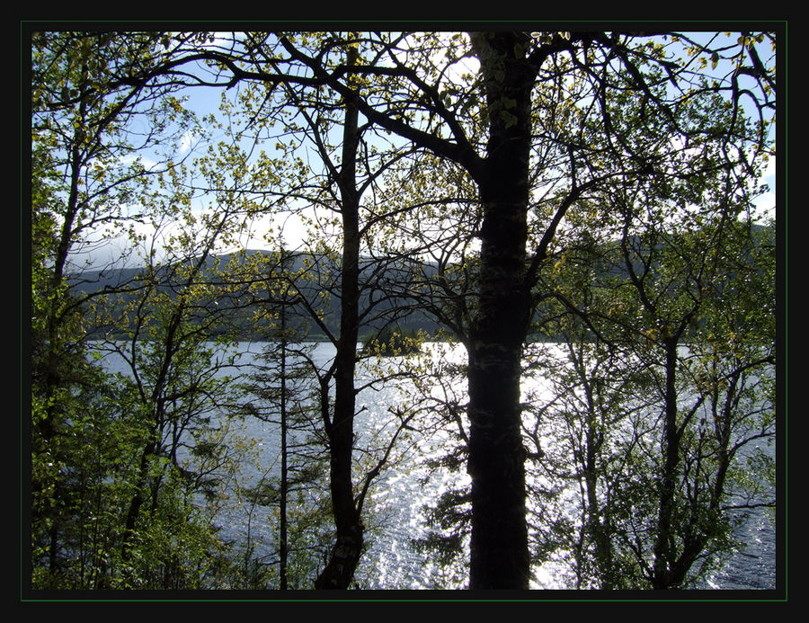 Ausblick vom Parkplatz