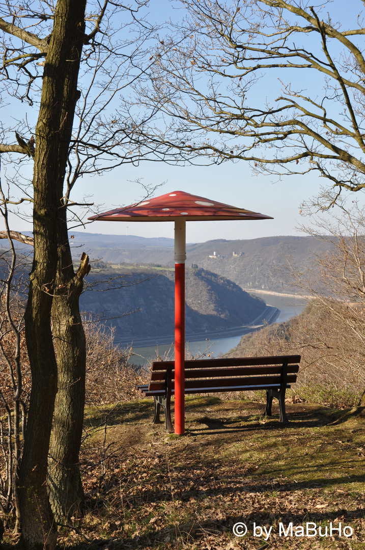 Ausblick vom Pilz auf den Rhein