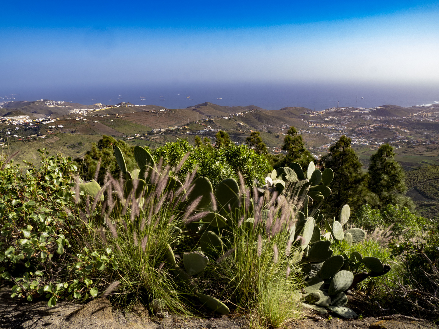 Ausblick vom Rand des Vulkans Bandama Gran Canaria