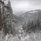 Ausblick vom Rothaarsteig