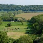 Ausblick vom Schloss Goseck