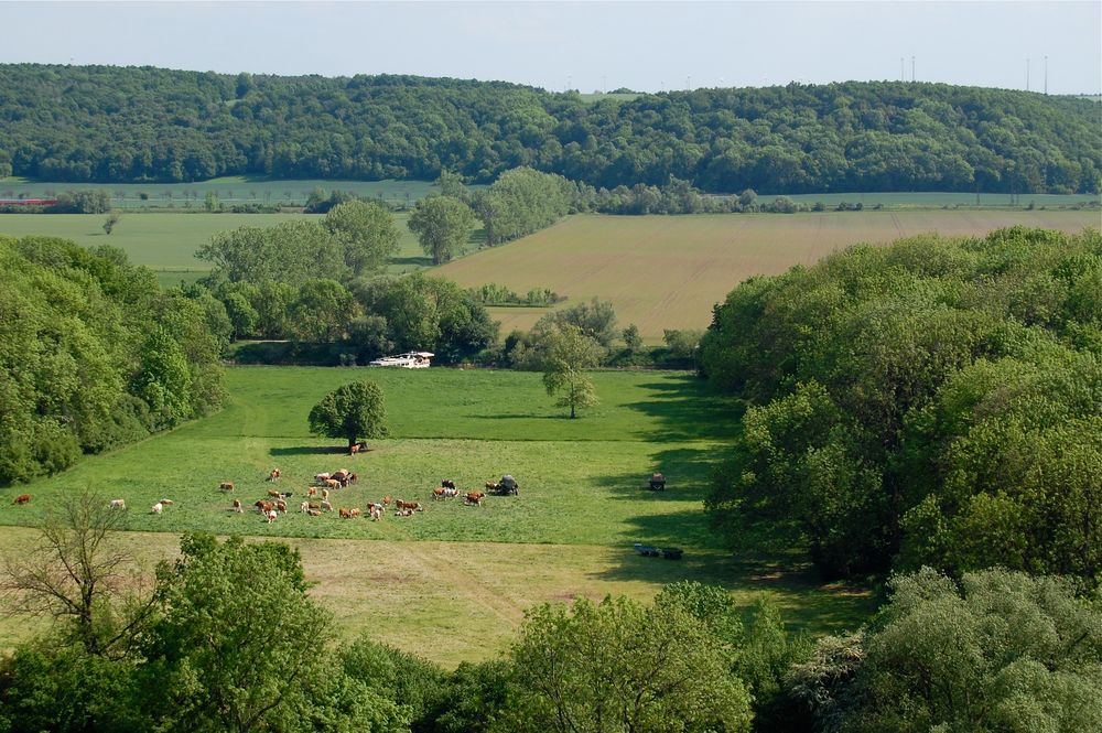 Ausblick vom Schloss Goseck