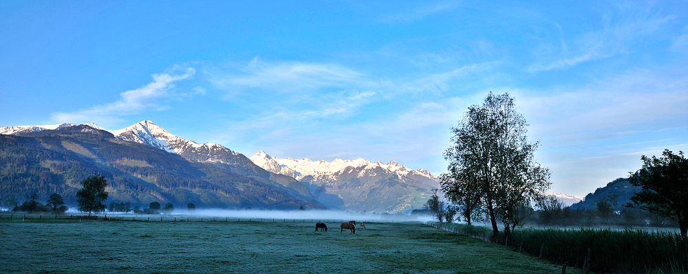 Ausblick vom Südufercamping