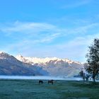 Ausblick vom Südufercamping