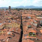 Ausblick vom torre guingini in Lucca