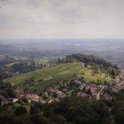 Ausblick vom Turm der Burg Windeck