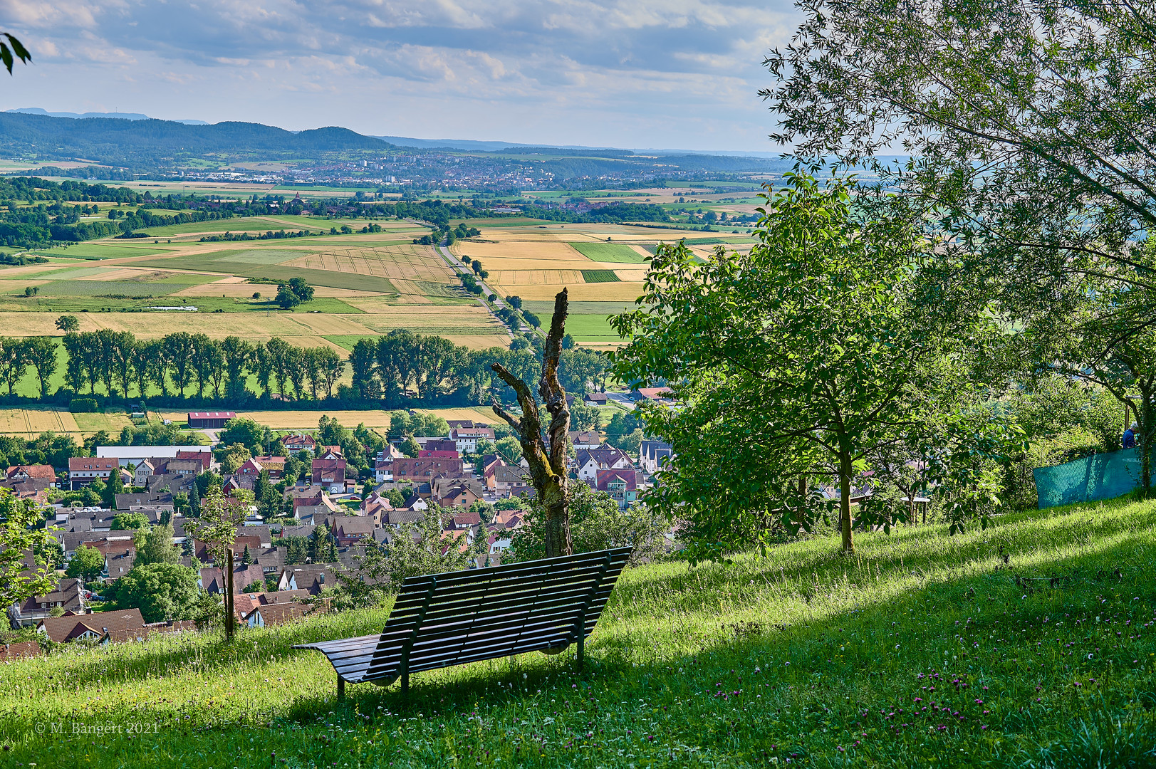 Ausblick vom Unterjesinger Wengertwegle