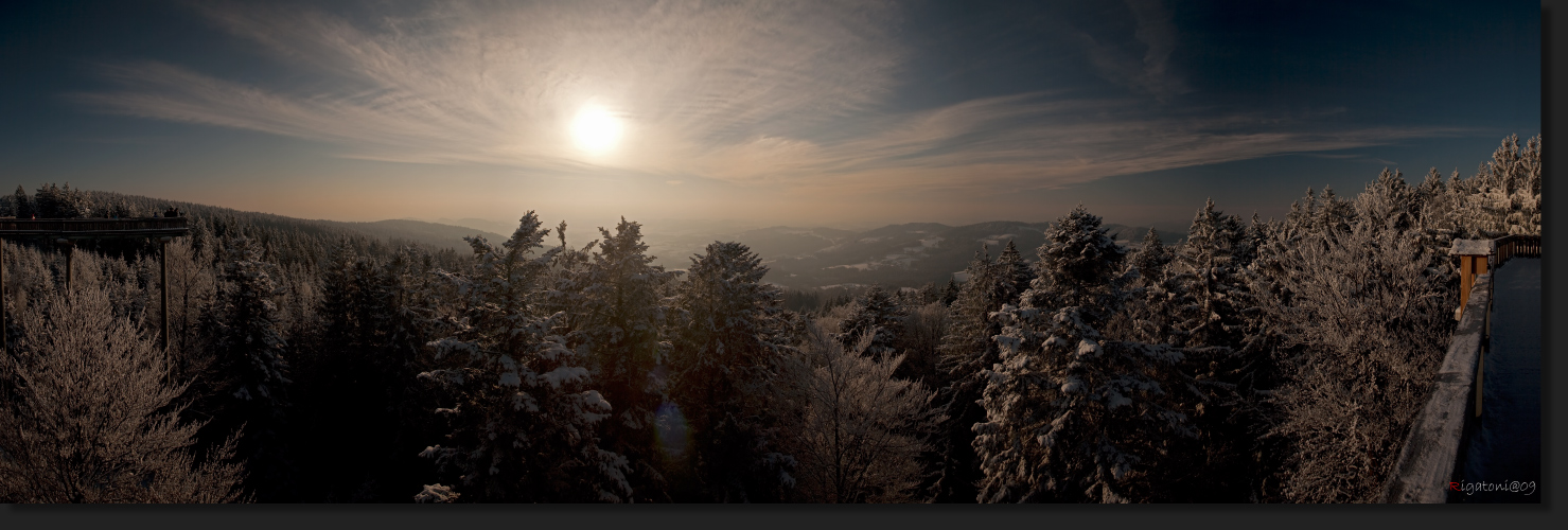 Ausblick vom  "Wald-Wipfel-Weg" im bayerischen Wald - St. Englmar