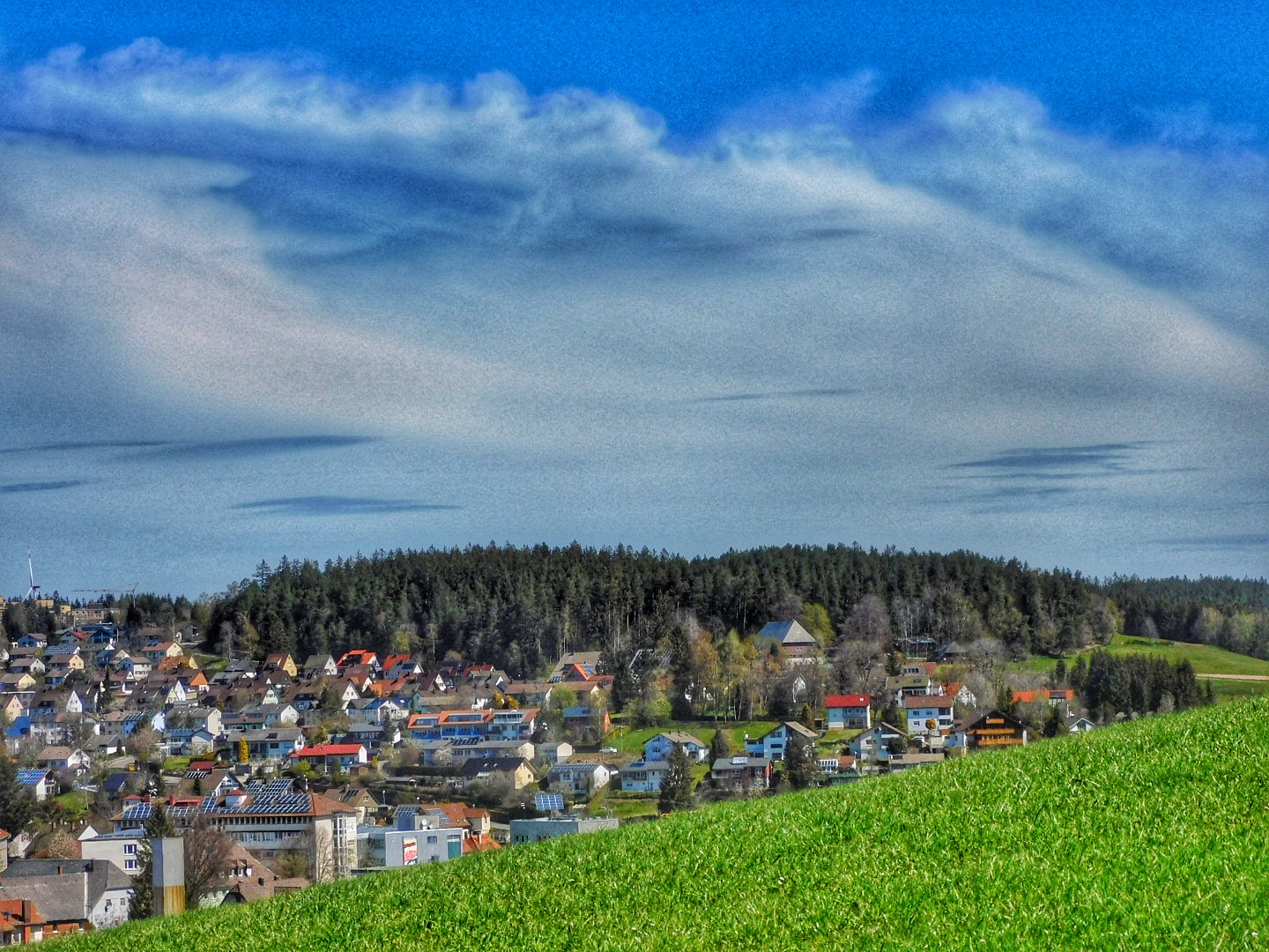 Ausblick vom Waldrand