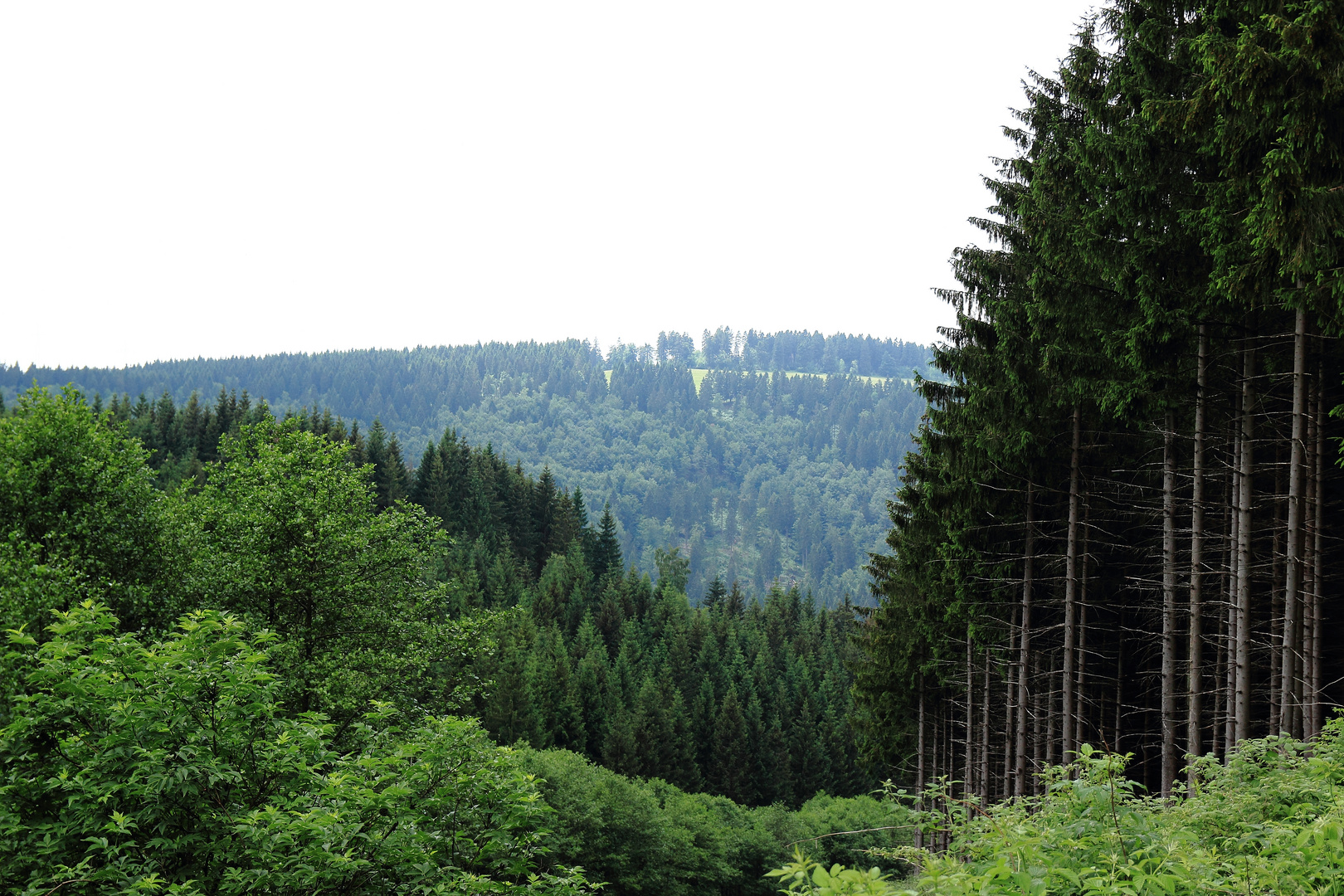 Ausblick vom Wanderweg Richtung St. Andreasberg 