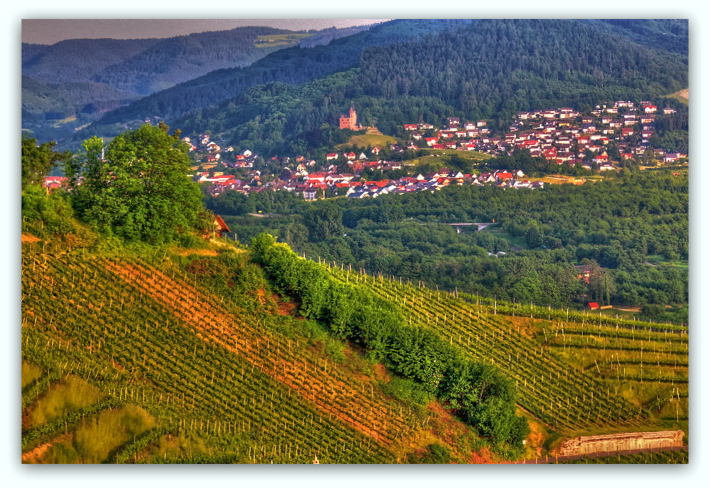 Ausblick vom Weinbergen nach Kappelrodeck