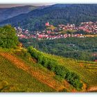 Ausblick vom Weinbergen nach Kappelrodeck