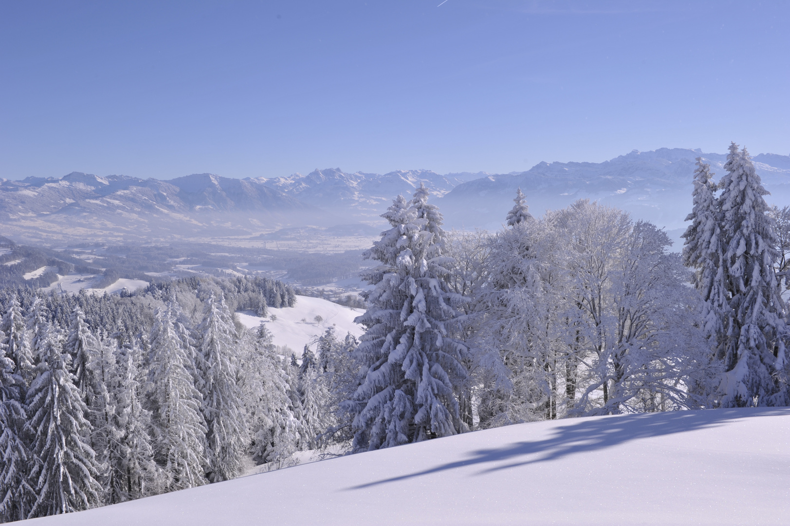 Ausblick von Bachtel Kulm