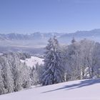 Ausblick von Bachtel Kulm