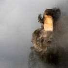 Ausblick von der Bastei im Nebel