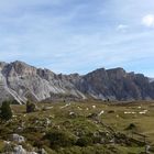 Ausblick von der Cislesalm auf das Monte-Stevia-Gebiet (Südtirol)