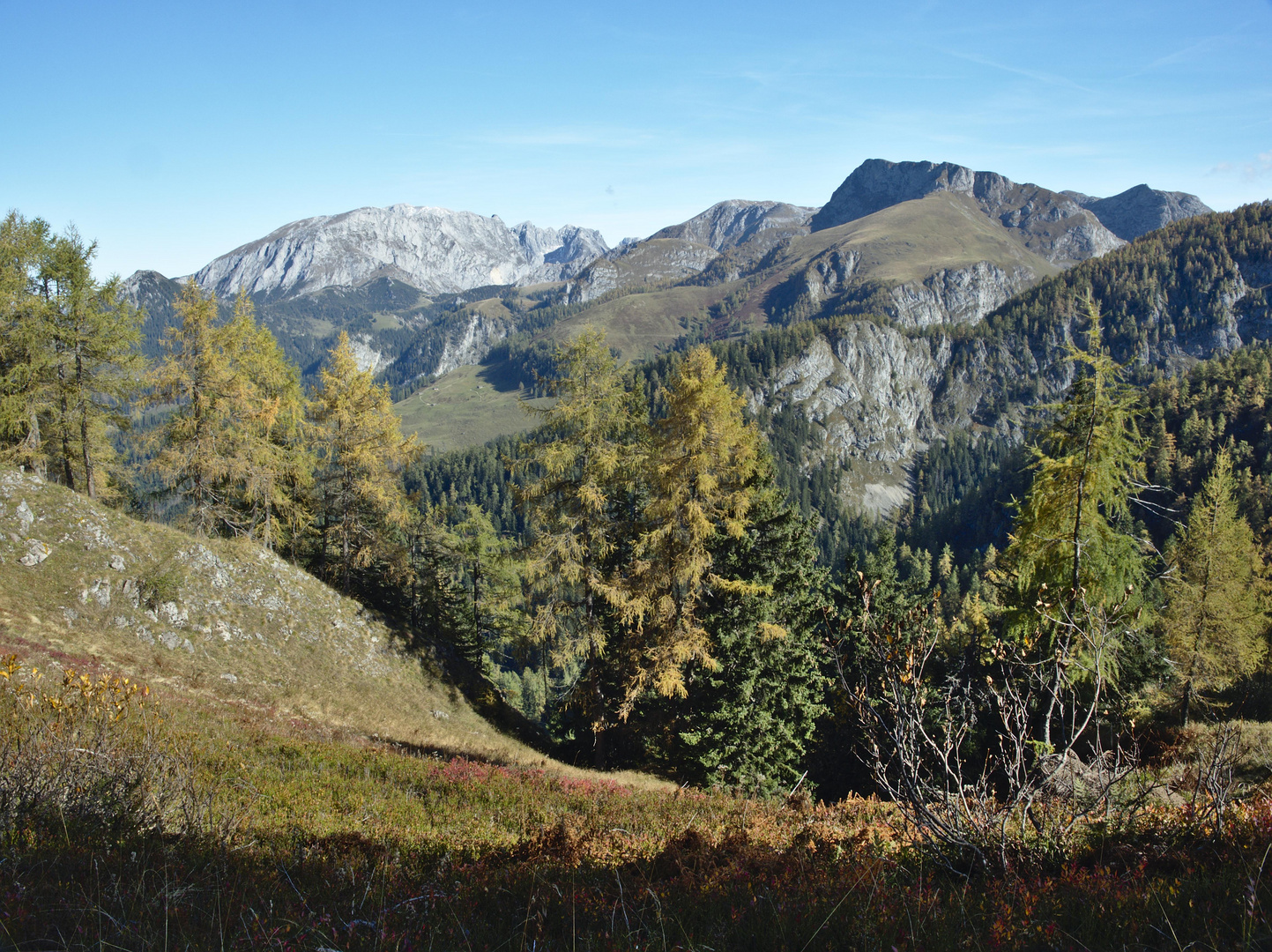 Ausblick von der Gotzenalm