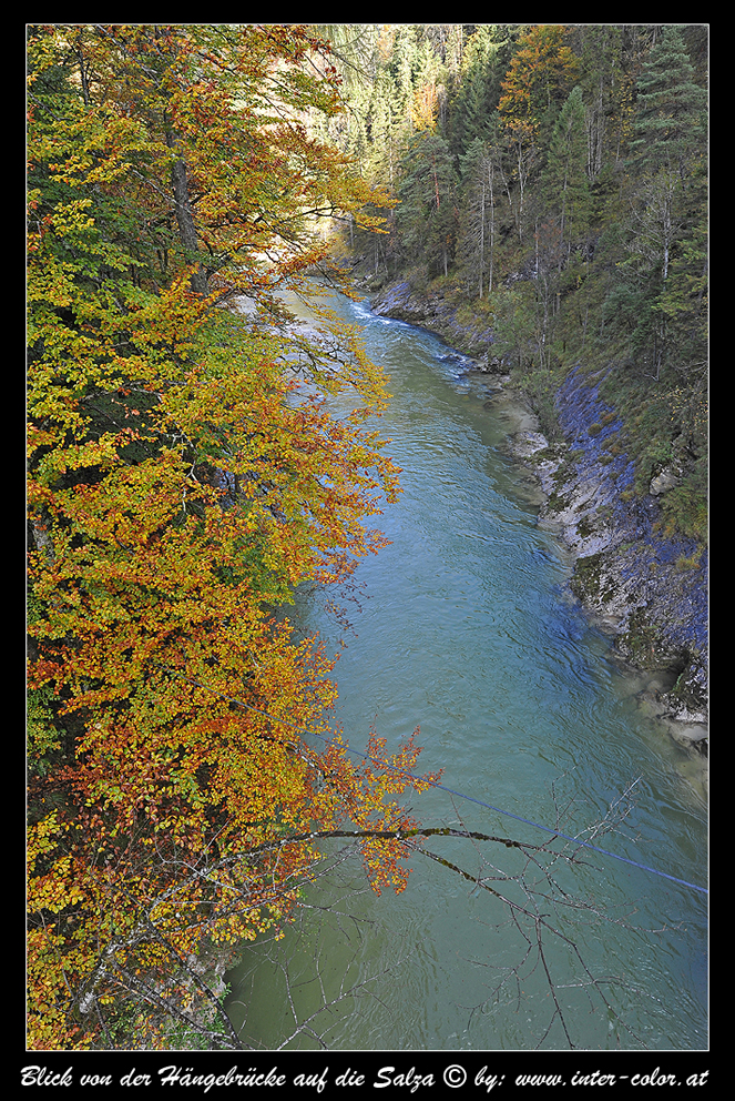 Ausblick von der Hängebrücke auf die Salza