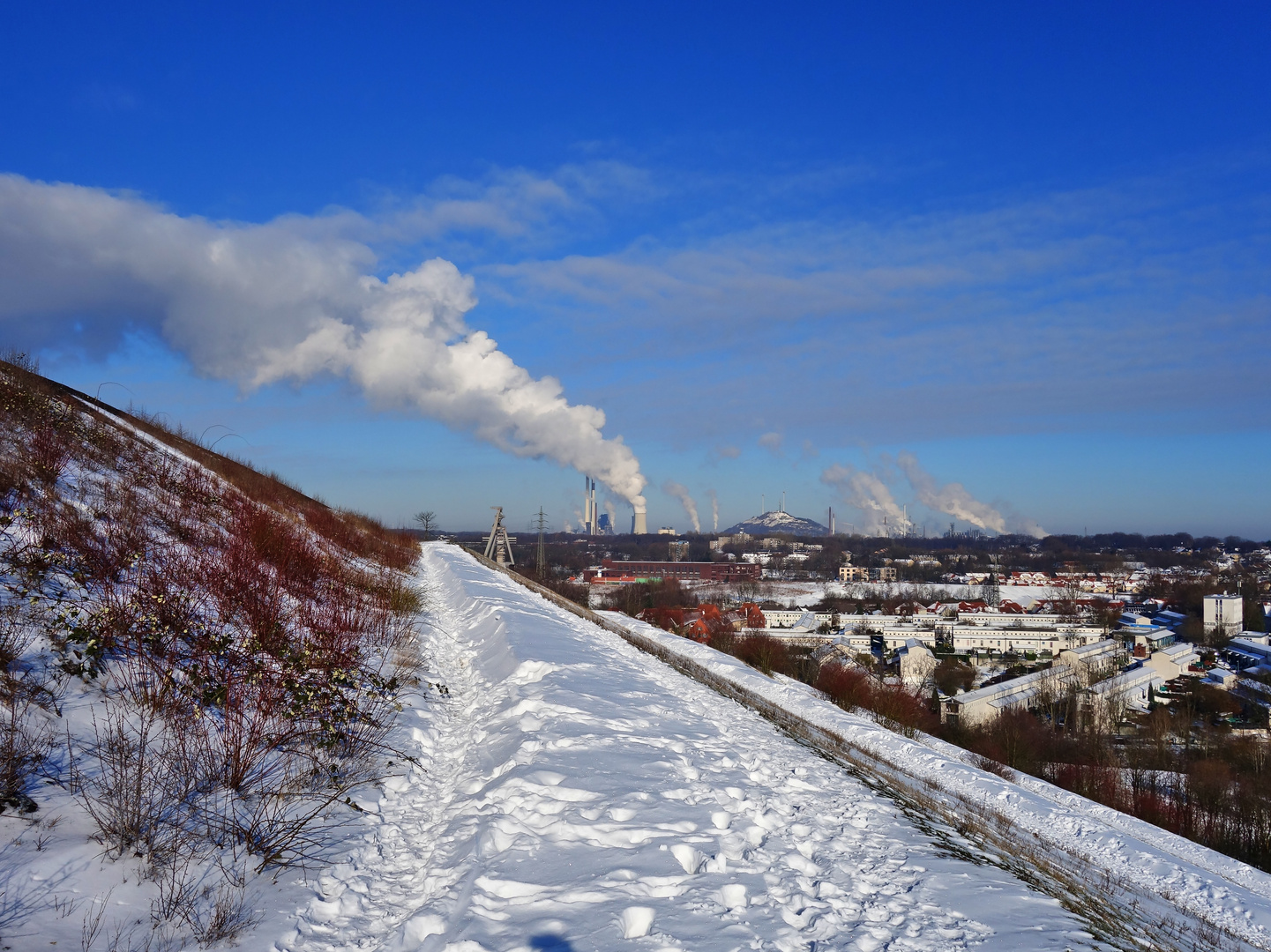 Ausblick von der Halde Rungenberg auf Gelsenkirchen im Februar 2021