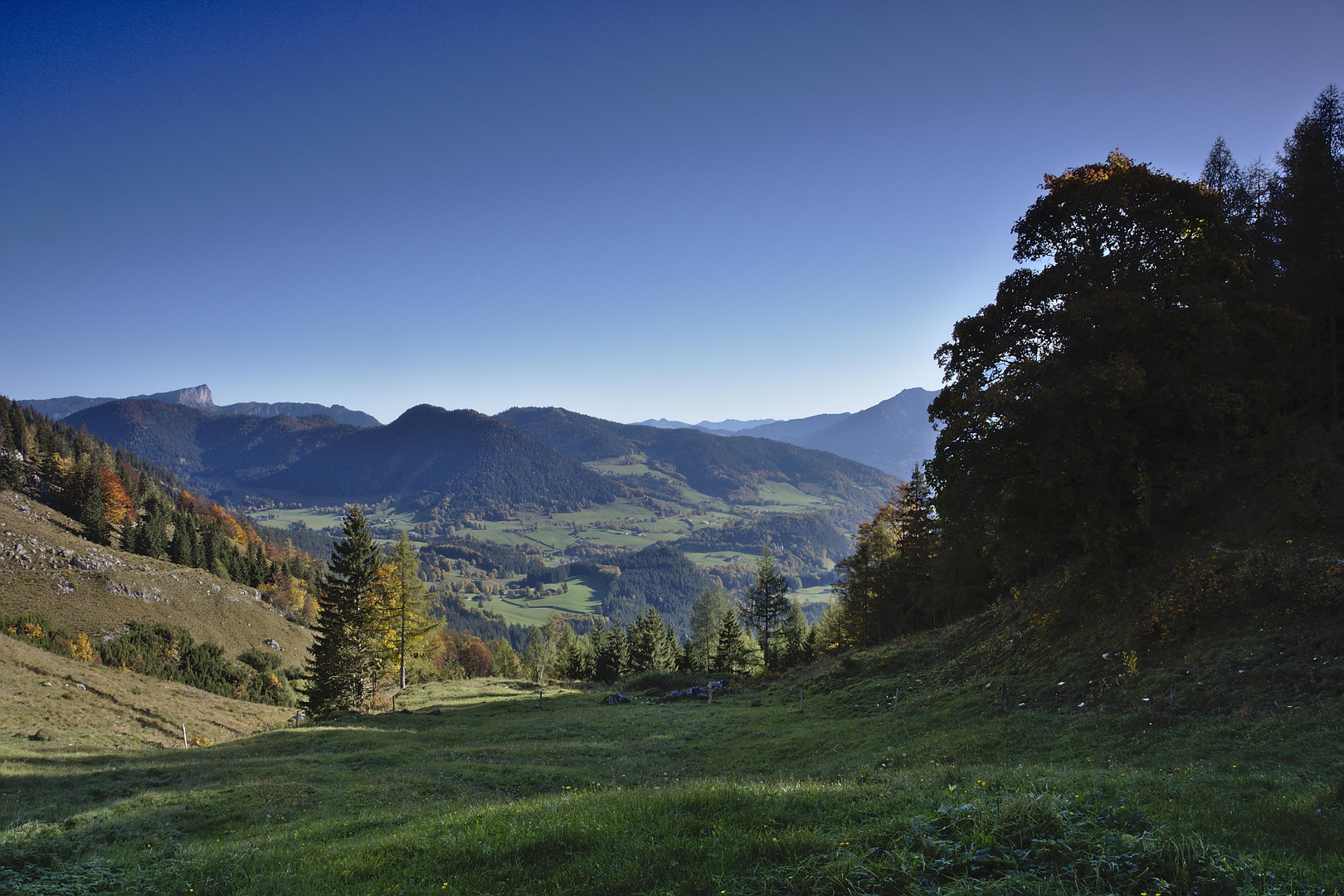 Ausblick von der Halsalm